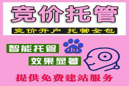 百度竞价排名服务：实战案例教你如何高效推广